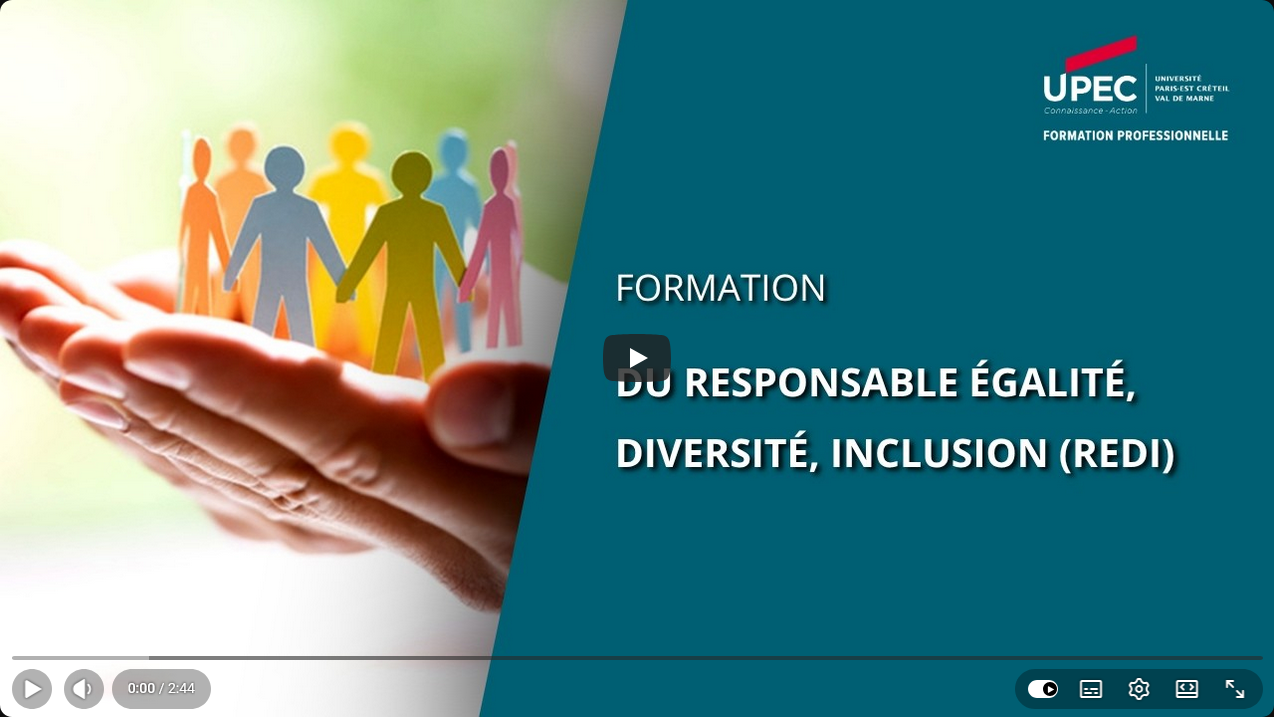 Consulter la vidéo de présentation du DU REDI